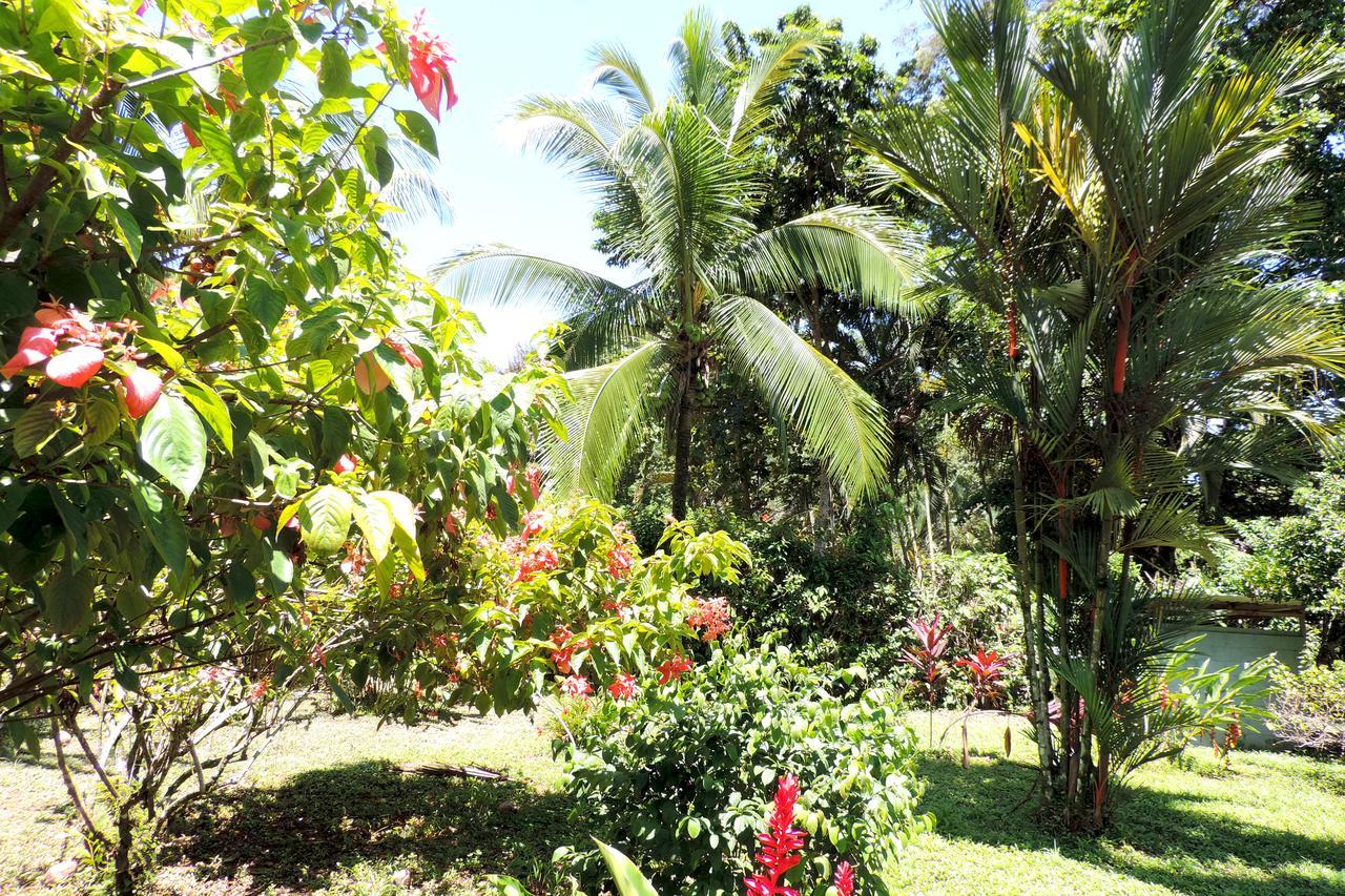 Rosa Lodge Cahuita Eksteriør billede