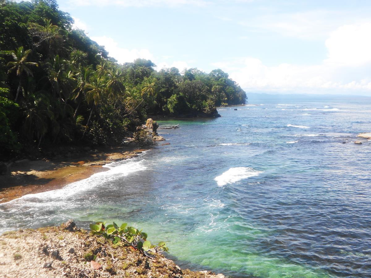 Rosa Lodge Cahuita Eksteriør billede