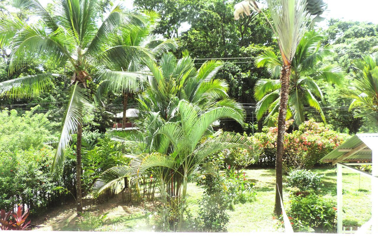 Rosa Lodge Cahuita Eksteriør billede
